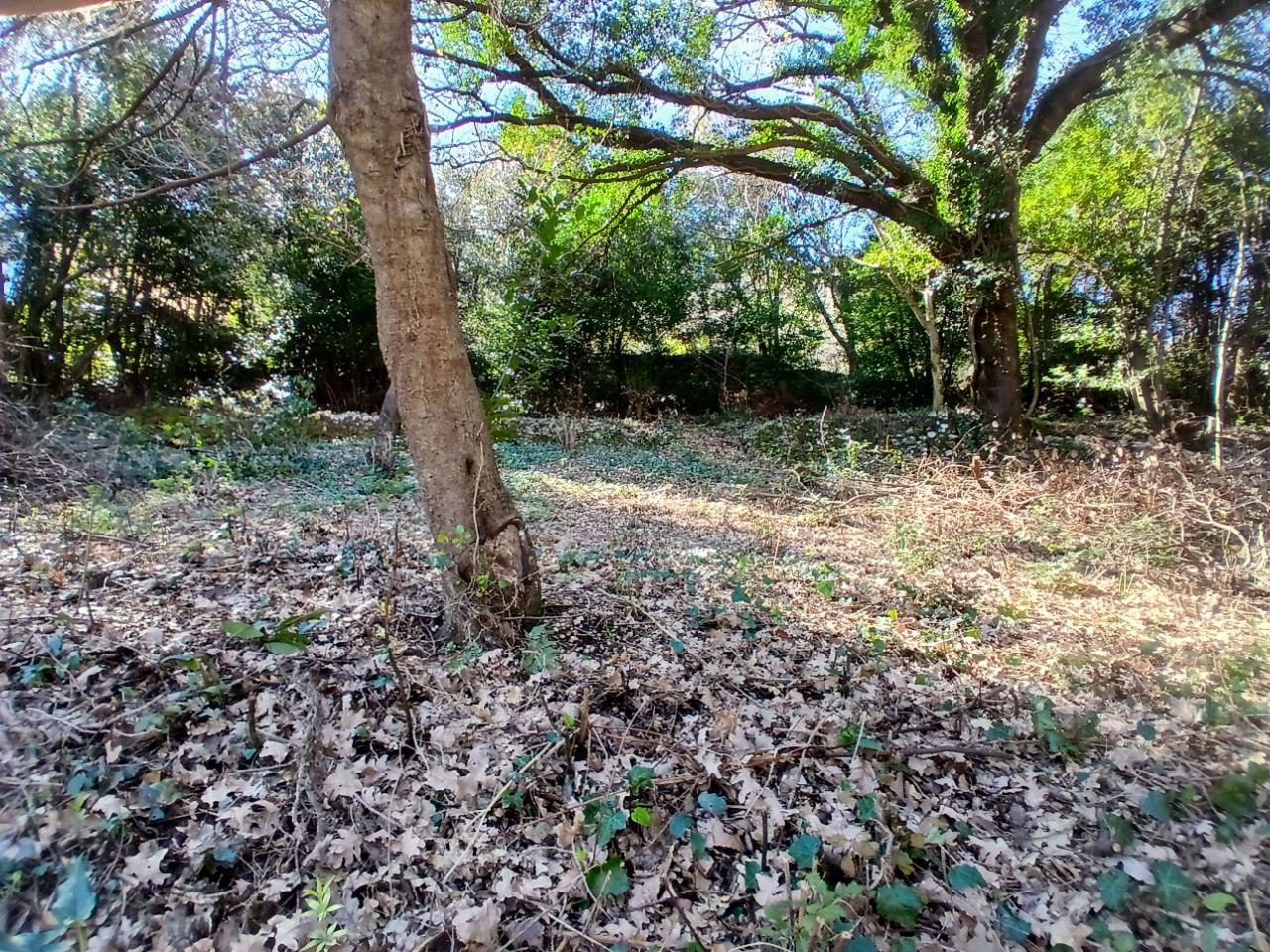 Image of Plot for Sale in Kotor-Stoliv-Montenegro, Image 5